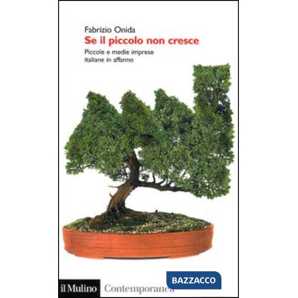 Se il piccolo non cresce. Piccole e medie imprese italiane in affanno