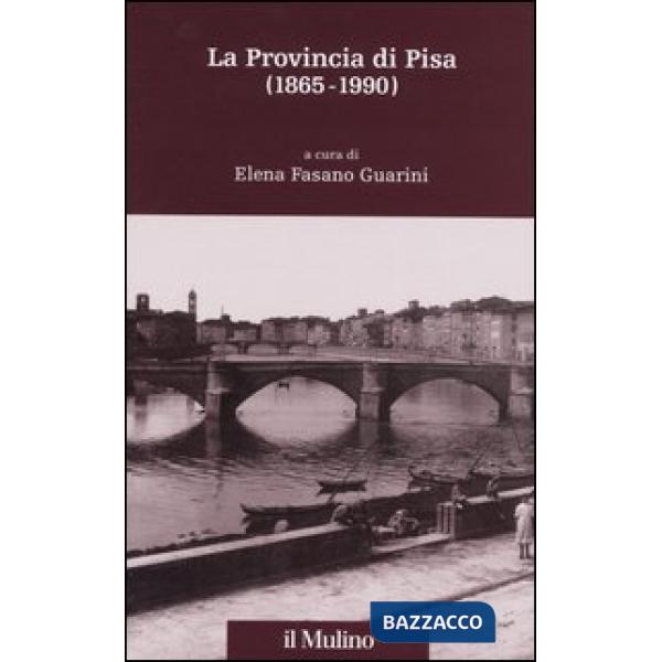 Provincia di Pisa (1865-1990) (La)