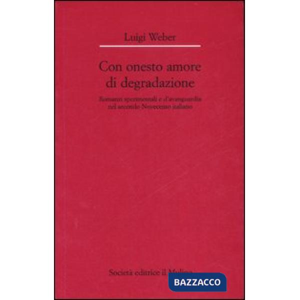 Con onesto amore di degradazione. Romanzi sperimentali e d'avanguardia nel secon
