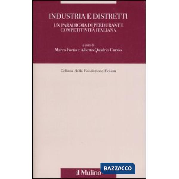 Industrie e distretti. Un paradigma di perdurante competitività italiana