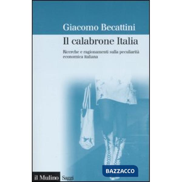 Calabrone Italia. Ricerche e ragionamenti sulla peculiarità economica italiana (