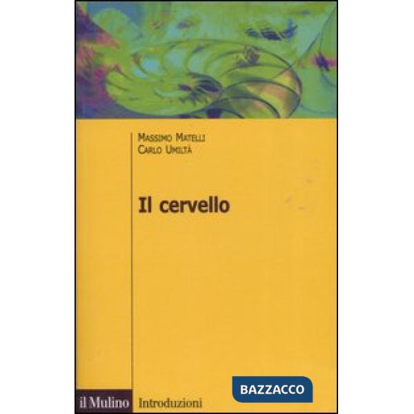 Cervello. Anatomia e funzione del Sistema nervoso centrale. Ediz. illustrata (Il
