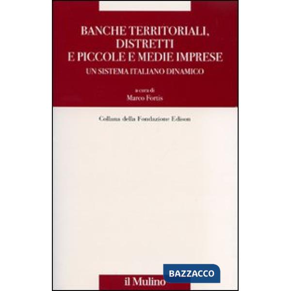 Banche territoriali, distretti e piccole e medie imprese. Un sistema italiano di