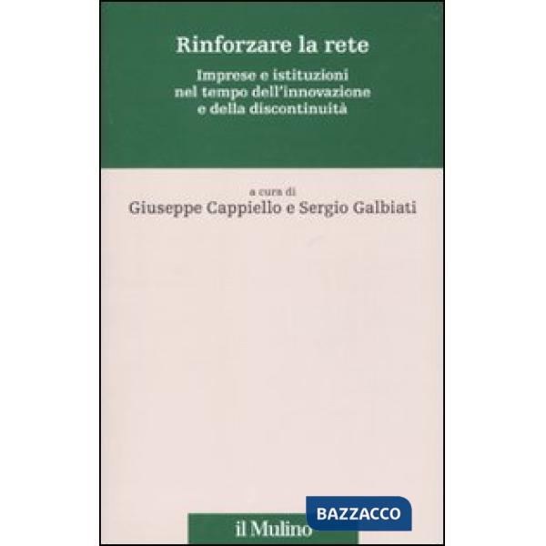 Rinforzare la rete. Imprese e istituzioni nel tempo dell'innovazione e della dis