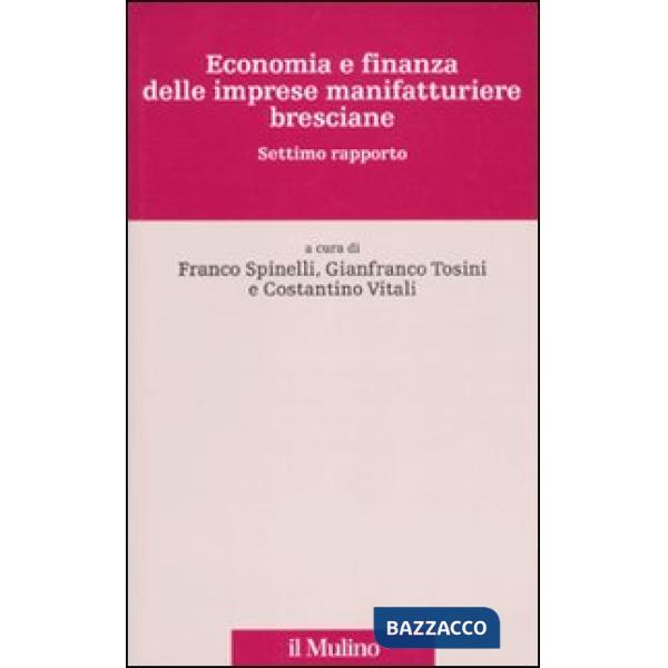 Economia e finanza delle imprese manifatturiere bresciane. Settimo rapporto