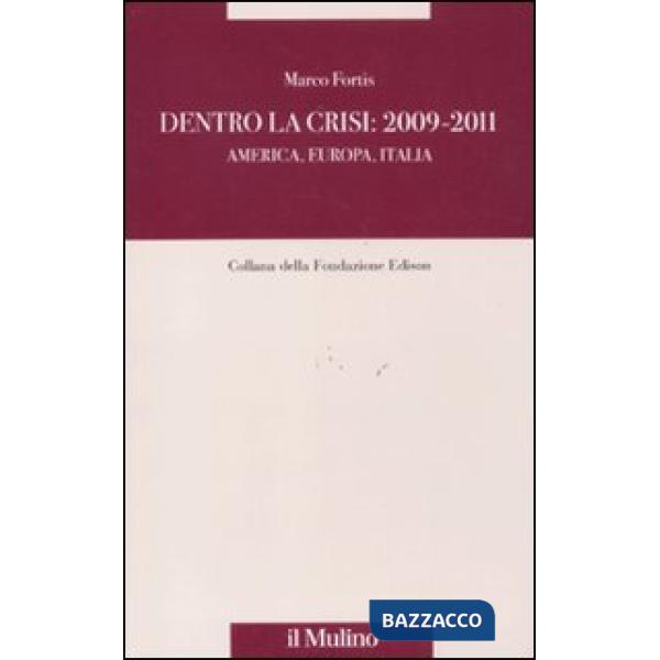 Dentro la crisi 2009-2011. America, Europa, Italia