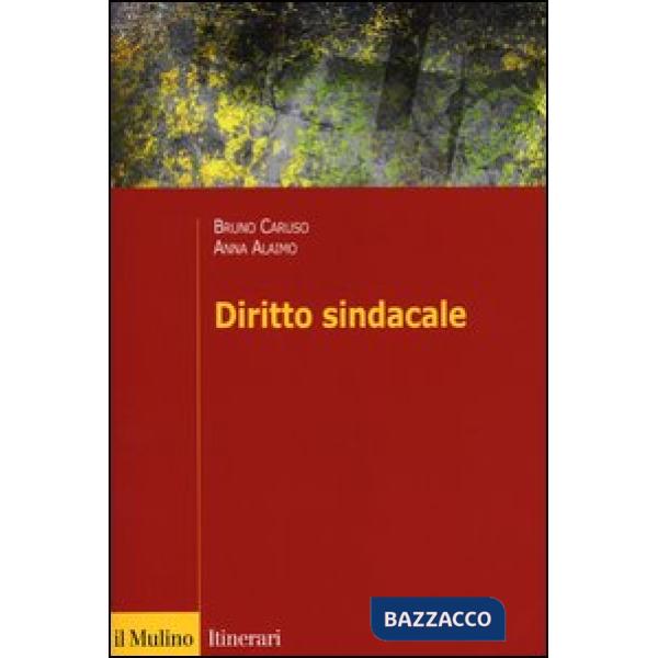 Diritto sindacale