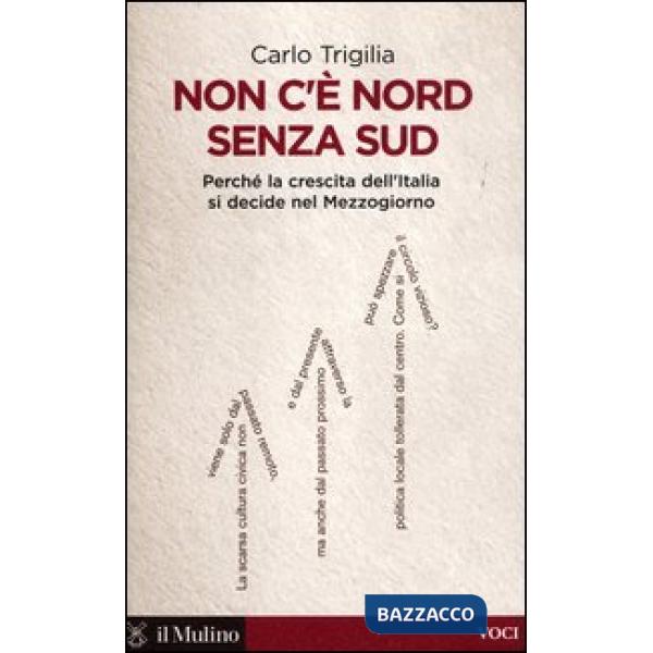 Non c'è Nord senza Sud. Perché la crescita dell'Italia si decide nel Mezzogiorno