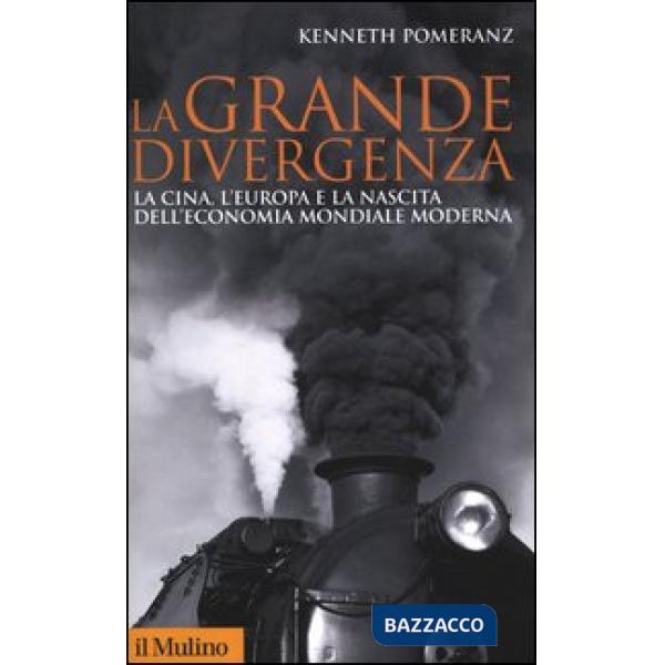 Grande divergenza. La Cina, l'Europa e la nascita dell'economia mondiale moderna