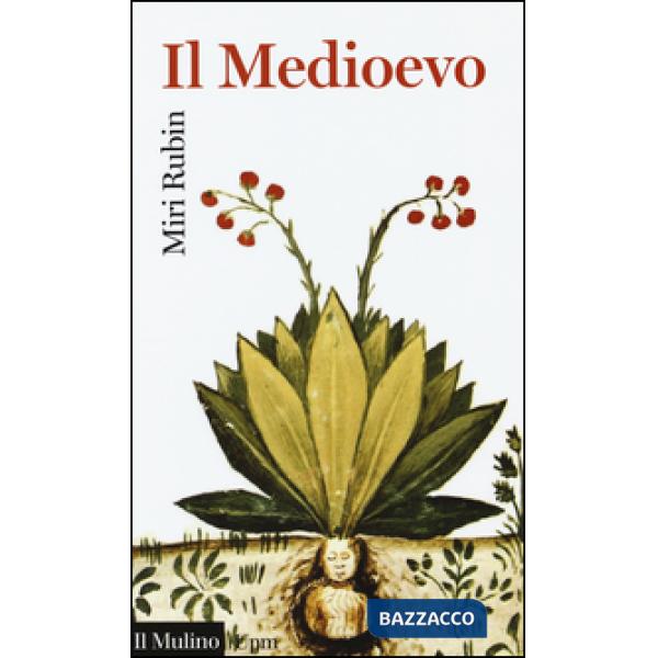 Medioevo (Il)
