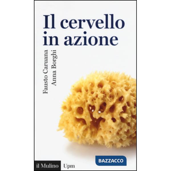 Cervello in azione (Il)