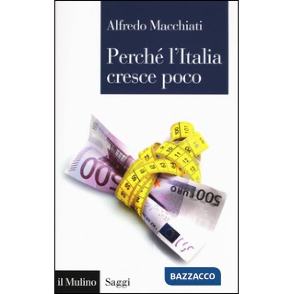 Perché l'Italia cresce poco