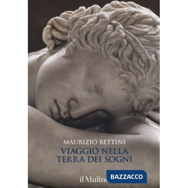 Viaggio nella terra dei sogni. Ediz. a colori