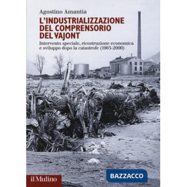 Industrializzazione del comprensorio Vajont (L')