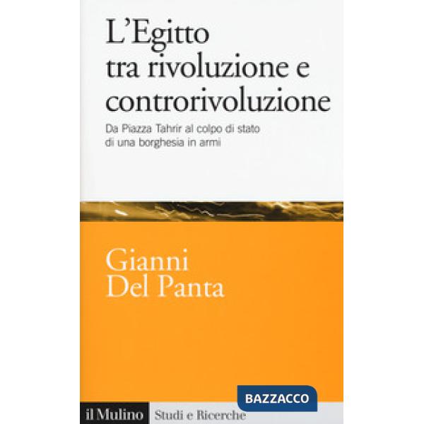 Egitto tra rivoluzione e controrivoluzione. Da piazza Tahrir al colpo di stato d