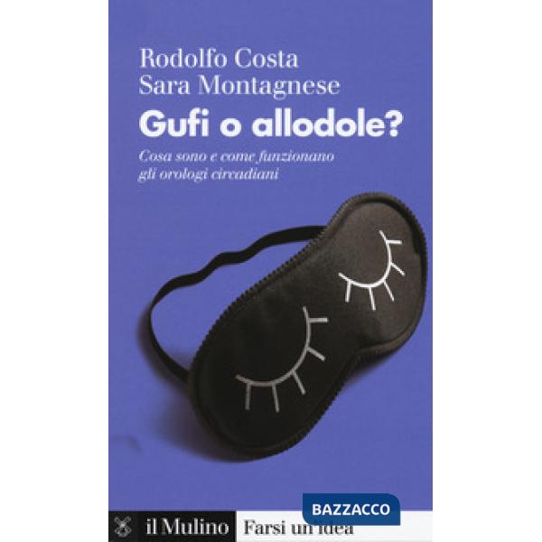 Gufi o allodole? Cosa sono e come funzionano gli orologi circadiani