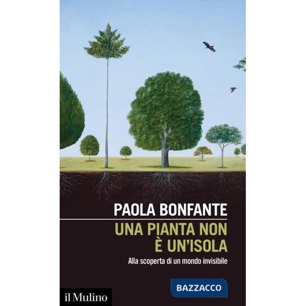 Pianta non è un'isola. Alla scoperta di un mondo invisibile (Una)