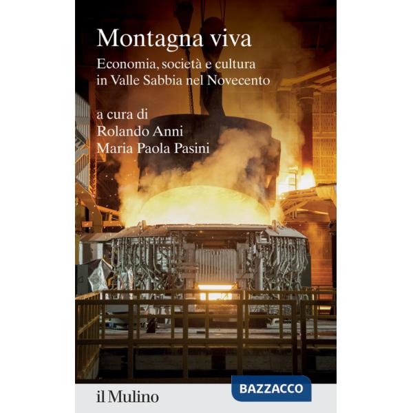 Montagna viva. Economia, società e cultura in Valle Sabbia nel Novecento