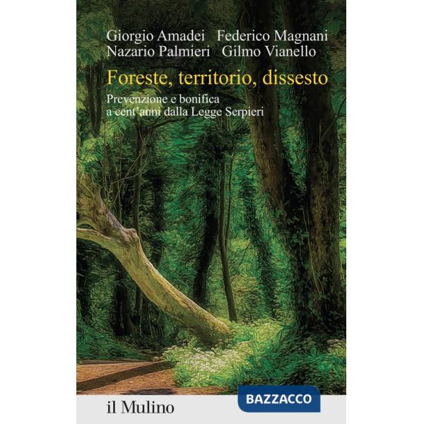 Foreste, territorio, dissesto. Prevenzione e bonifica a cent'anni dalla Legge Serpieri
