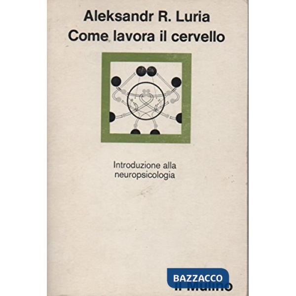 Come lavora il cervello
