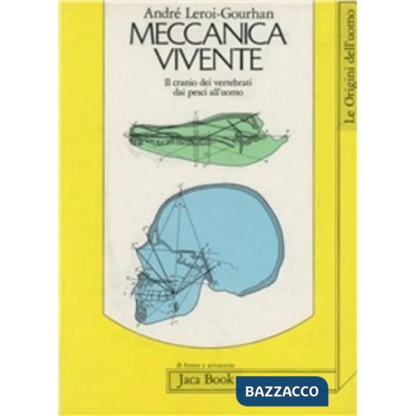 Meccanica vivente. Il cranio dei vertebrati dai pesci all'uomo