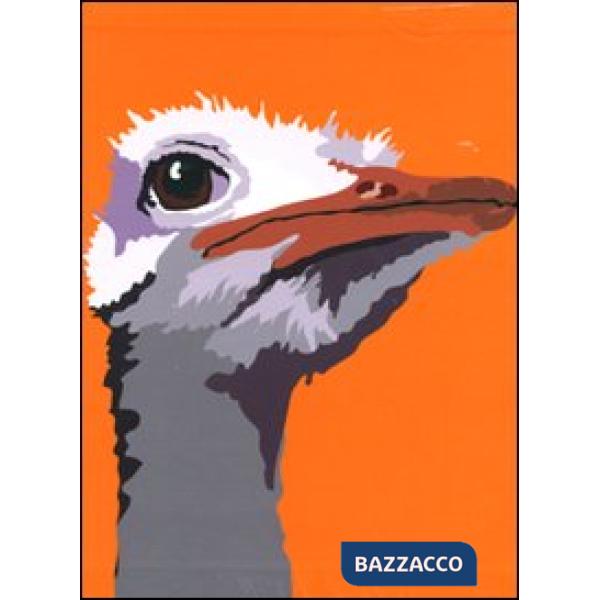 Incontra gli animali. Ediz. illustrata
