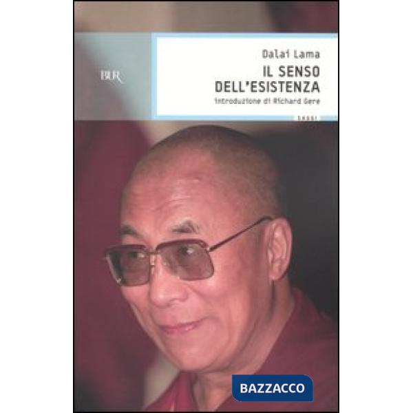 Senso dell'esistenza (Il)