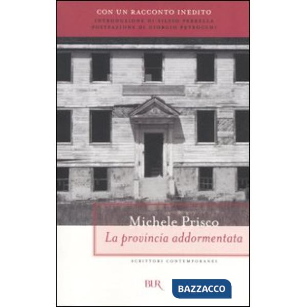 Provincia addormentata. Con un racconto inedito (La)