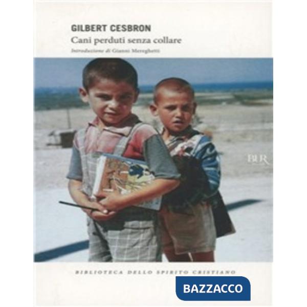 Cani perduti senza collare