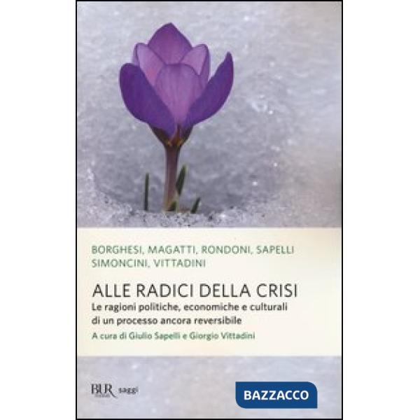 Alle radici della crisi. Le ragioni politiche, economiche e culturali di un processo ancora reversibile