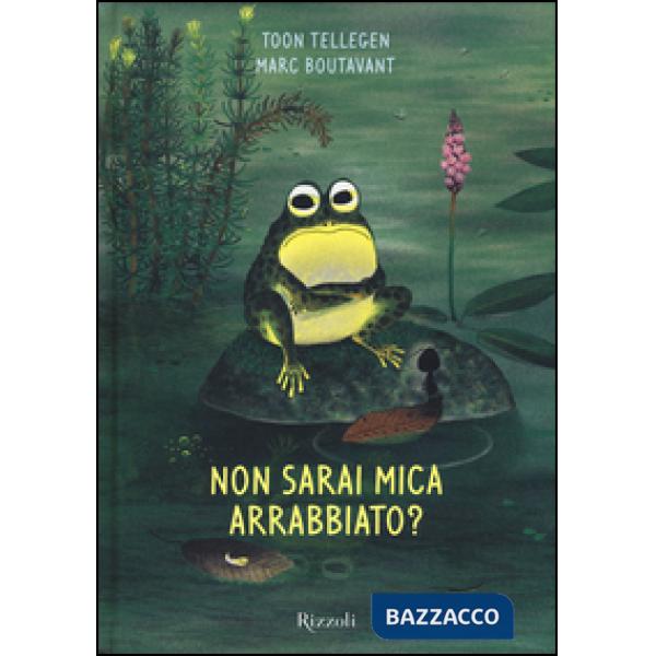 Non sarai mica arrabbiato? Ediz. illustrata