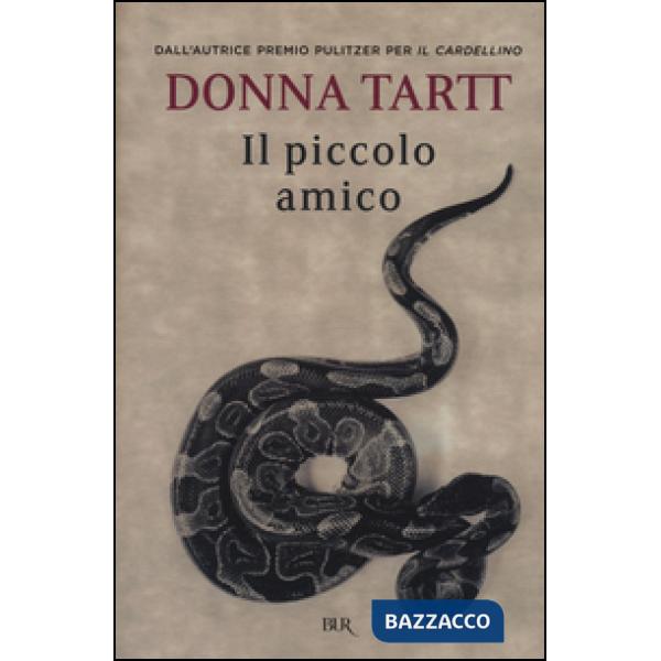 Piccolo amico (Il)