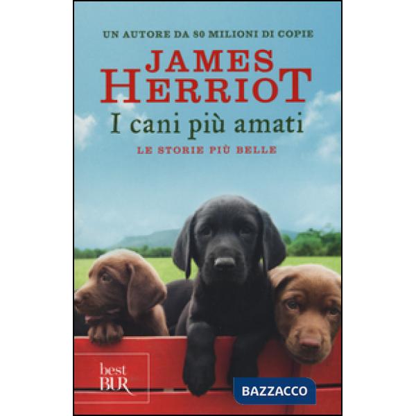 Cani più amati. Le storie più belle (I)