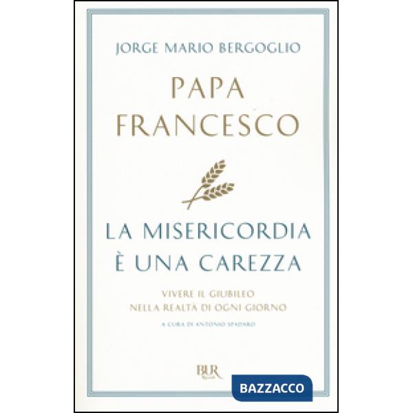 Misericordia è una carezza. Vivere il giubileo nella realtà di ogni giorno (La)