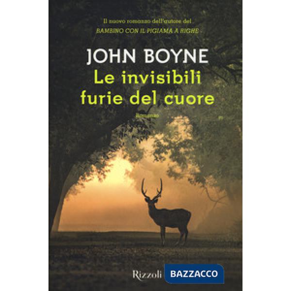 Invisibili furie del cuore (Le)