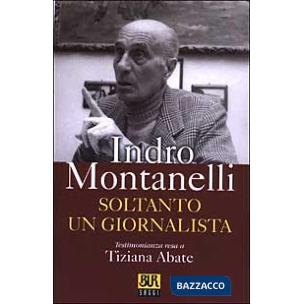 Soltanto un giornalista