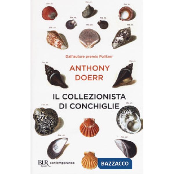 Collezionista di conchiglie (Il)