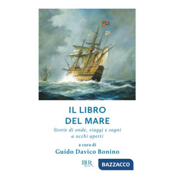 Libro del mare. Storie di onde, viaggi e sogni a occhi aperti (Il)