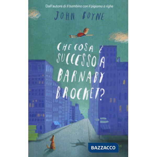 Che cosa è successo a Barnaby Brocket?