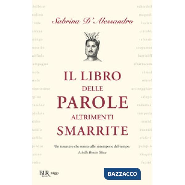 Libro delle parole altrimenti smarrite (Il)