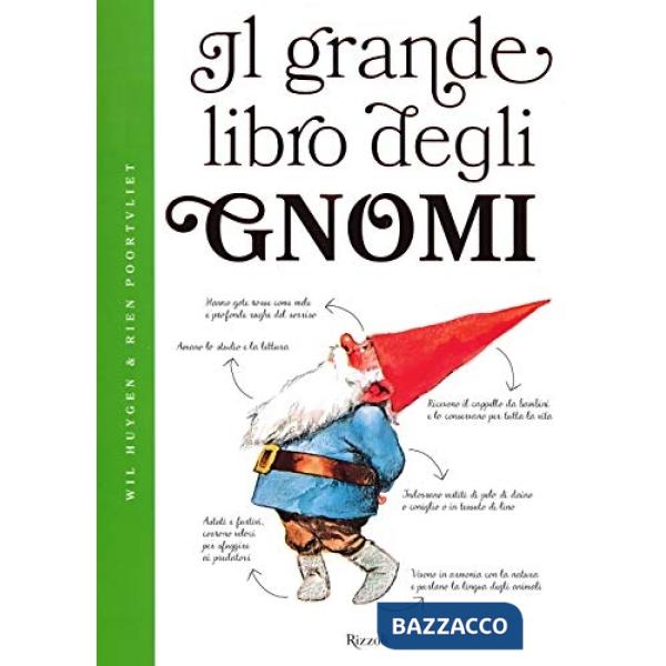Grande libro degli gnomi. Ediz. a colori (Il)