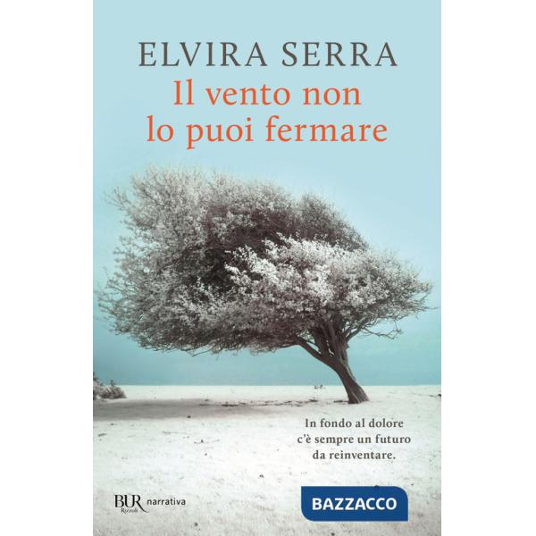 Vento non lo puoi fermare (Il)