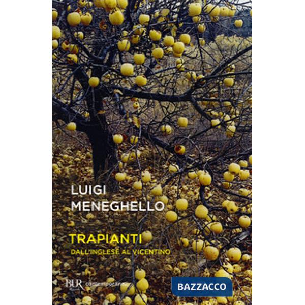 Trapianti. Dall'inglese al vicentino