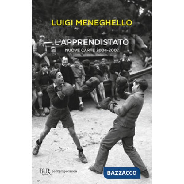 Apprendistato. Nuove carte 2004-2007 (L')