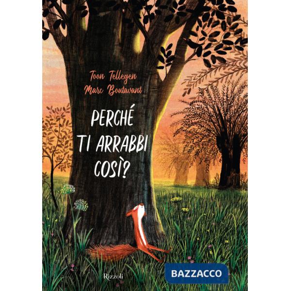 Perché ti arrabbi così? Ediz. a colori