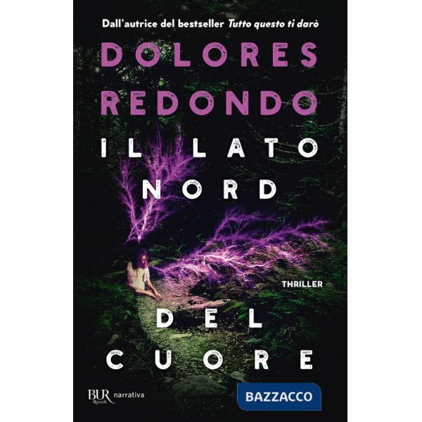 Lato nord del cuore (Il)