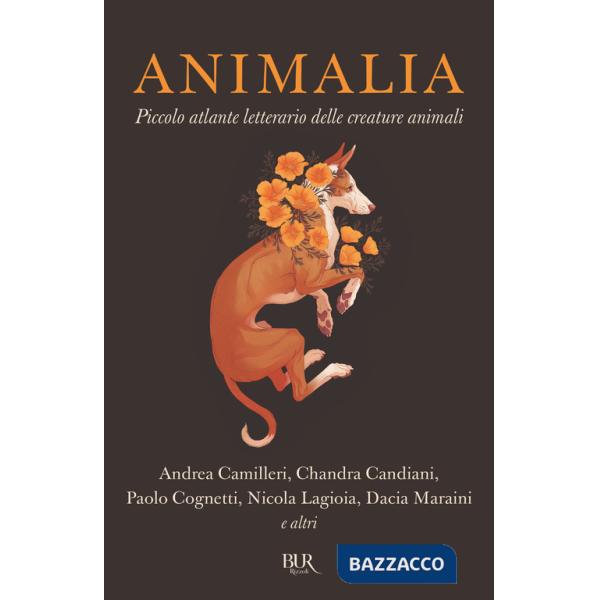 Animalia. Piccolo atlante delle creature animali