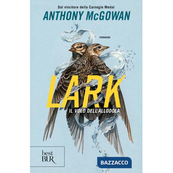 Lark. Il volo dell'allodola