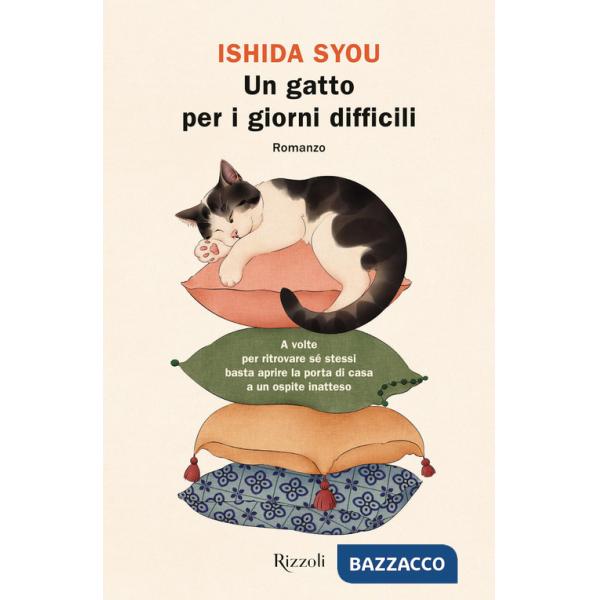 Gatto per i giorni difficili (Un)