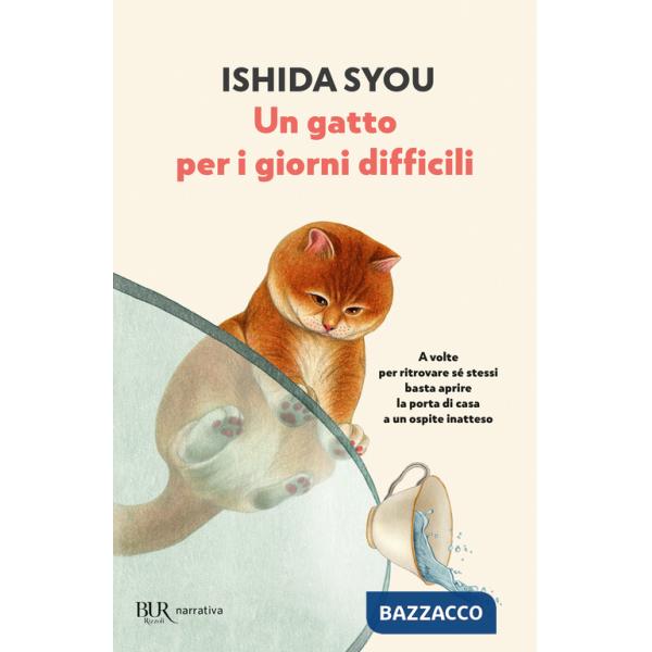 Gatto per i giorni difficili (Un)